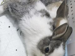 -三旗百汇商品城