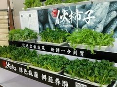 -喜满堂 望喜园·融合菜