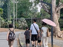 -槟城植物园