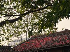 -喜洲吧·江畔老船厂·庭院餐厅(喜临院店)