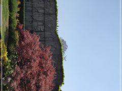 -嘉定紫藤园
