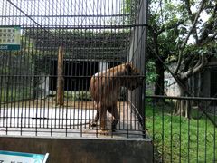 -广东茂名森林公园