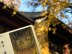 -灵谷景区