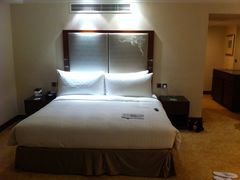 皇家太平洋酒店-香港皇家太平洋酒店