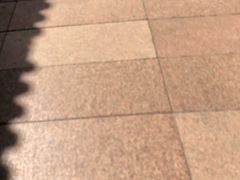 -张掖大佛寺景区