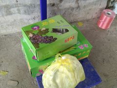 -马陆小张葡萄园农家乐