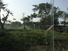 -仙芝竹尖生态园旅游景区