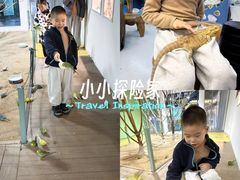-上海大自然野生昆虫馆(东方明珠·爬宠昆虫探索中心)