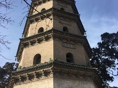 -晋祠公园