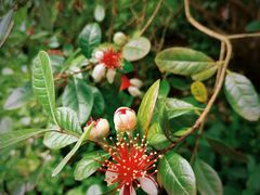 -浙江农林大学(东湖校区)