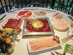 -二荆条·蜀鲜汇城市森林火锅