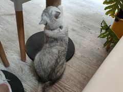 -小时光咖啡馆(北锣鼓巷店)