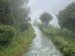 -影珠山