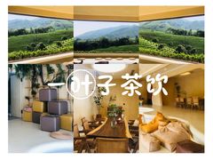 -白茶原·一片叶子