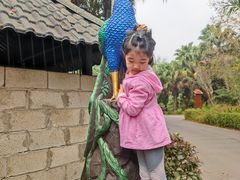 -西双版纳傣族园