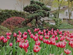 -杭州花家山庄