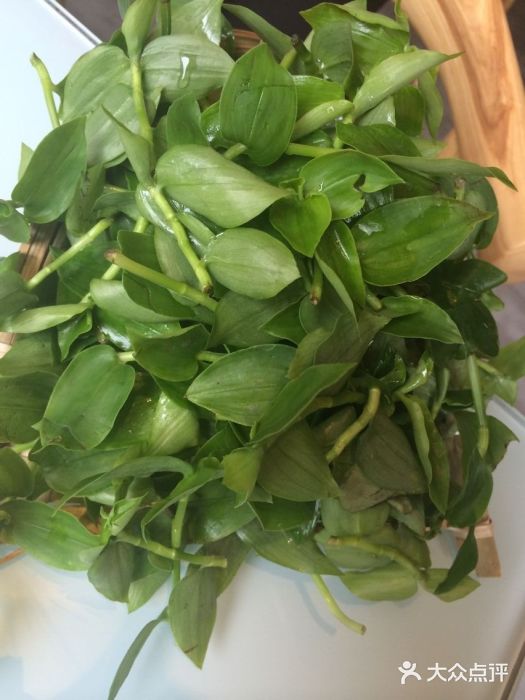 尽膳口福跷脚牛肉火锅(科华北路店)竹叶菜图片