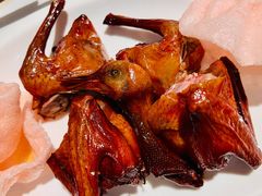 脆皮乳鸽-潮福城大酒楼·潮味粤品·港式点心(湖滨北路店)