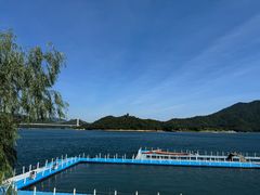 -酒仙湖景区
