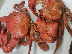 -宾朋海鲜饭庄(兴海路店)