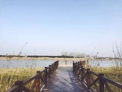 -鱼嘴湿地公园