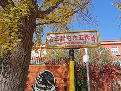 -三里屯东五街银杏大道