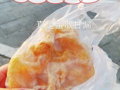 蛋散-传说中那条蛋散