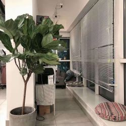 -净漪造型 PURE RIPPLE