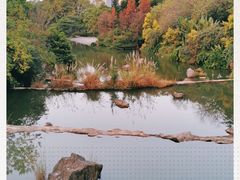 -云溪植物园