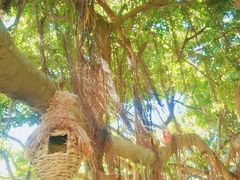 -胡里山炮台