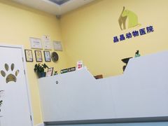 -瑞鹏宠物医院·爱宠堂·骨外专科(西荷分院)