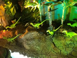 -恐龙探索乐园(磁器口店)