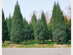 -大兴滨河森林公园