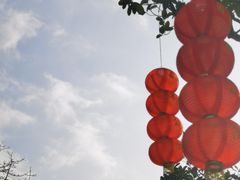 -云溪植物园