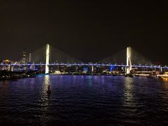 -新龙船黄浦江餐饮游船官方自营店