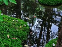 -成都市活水公园