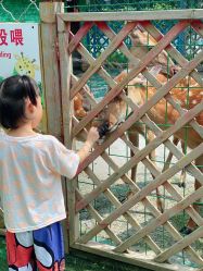 -萌宠亲子动物乐园(槐房万达店)