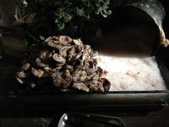 -星伦多 自助料理(圆融店)