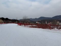 -蓟洲国际滑雪场