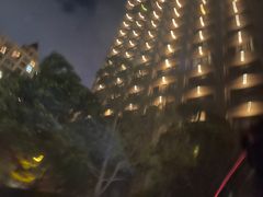 -上海浦东星河湾酒店