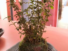 -二酉书店TOYOU BOOKS