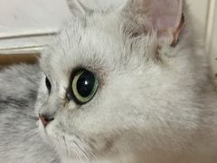 -美联众合动物医院·24h转诊中心