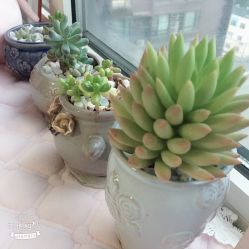 店内环境-爱美睫美甲会馆
