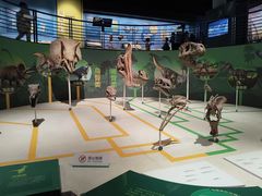 -国家自然博物馆