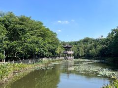 -福神岗公园
