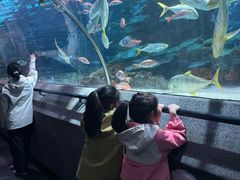 -大连圣亚海洋世界