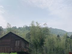 -东明山森林公园