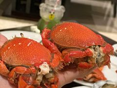 -广州万富希尔顿酒店·感趣自助餐厅·金秋蟹宴生蚝海鲜刺身