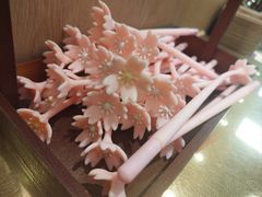-都可手作(学士街手作店)