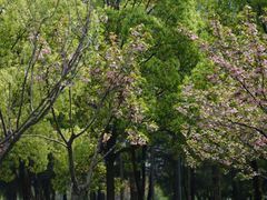 -后襄河公园